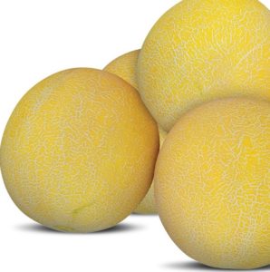 DRG 3228-Galia_V1 - cluster