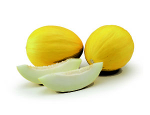 Melão Goldmine integra o mercado de melões